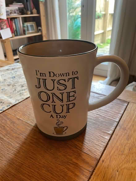 Photo of free Extra large mug or plant pot (Osney OX2) #2