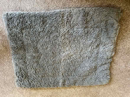 Photo of free Pet bed/ rug 18” x 24” (Beckenham BR3) #1