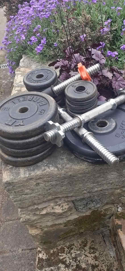 Photo of free Weights (Crookesmoor S6) #2