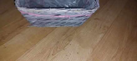 Photo of free Indoor basket for plants (Hanworth TW13) #2
