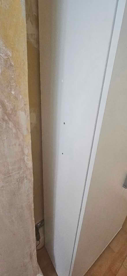 Photo of free Cupboard (Leytonstone E11) #2
