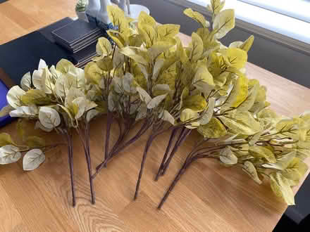 Photo of free Artificial mustard colour leaves (Upshire EN9) #1