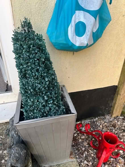 Photo of free Fake plants (brixham devon) #2