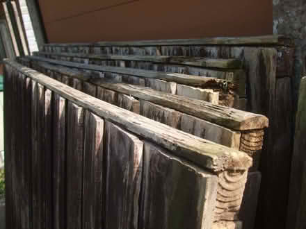 Photo of free 9 x Fence panels (6x5) (Heath Hayes WS12) #3
