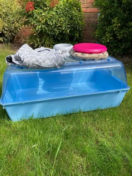 Photo of free Guinea pig accessories (Bearsted) #2