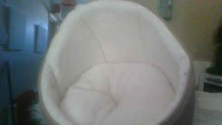 Photo of free Large cat igloo (BA2) #2