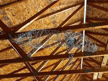 Photo of free Large wire lizard (Alexandria (Groveton), VA) #1