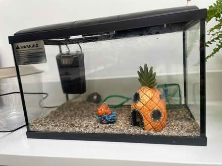 Photo of free Fish tank, fish bowl, pump and gravel (Spital CH62) #4