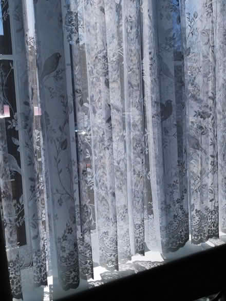 Photo of free Net curtains (Northside Dublin) #1