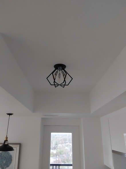 Photo of free Black Ceiling Light (K2A 0G7) #1