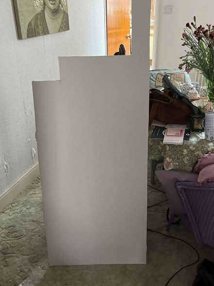 Photo of free Plasterboard (Newton Abbot) #1