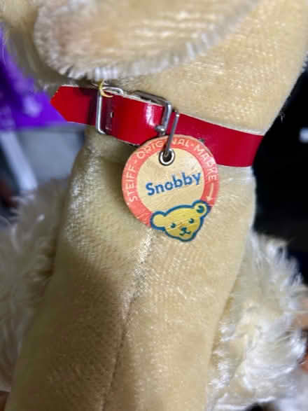Photo of free Stuffed animals/toys (Quincy) #3