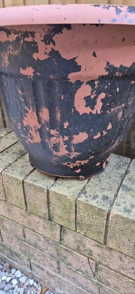 Photo of free Plastic Planters x 2 (Macclesfield SK10) #2