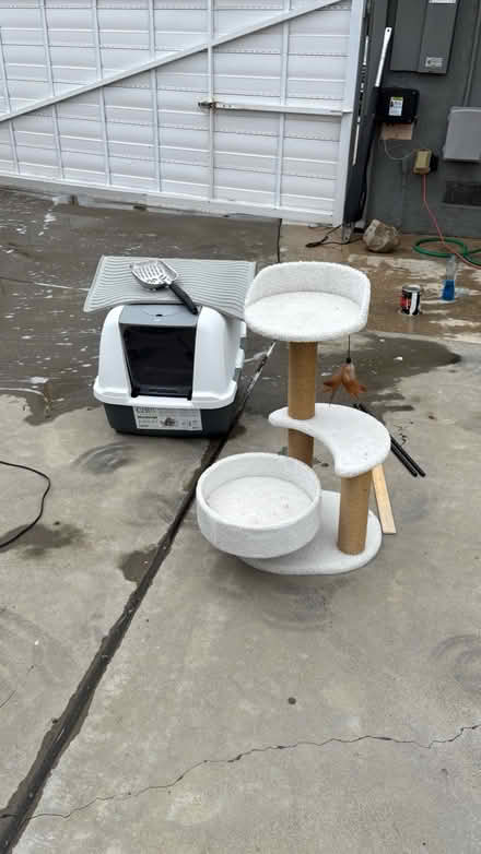 Photo of free Litter box/Mat/Scoop & Small Tree (Allied Gardens) #1