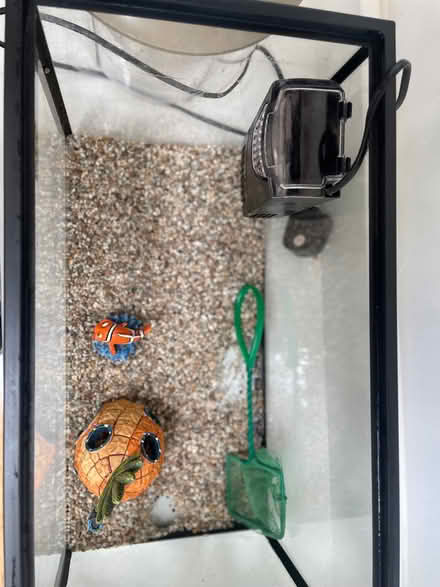 Photo of free Fish tank, fish bowl, pump and gravel (Spital CH62) #2