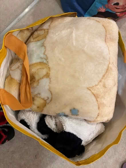Photo of free Dog blankets and toys (Gracemount EH16) #1