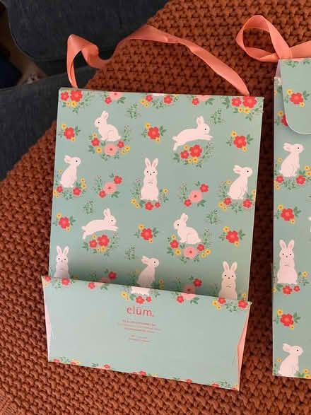 Photo of free Bunny gift bags (Alexandria) #2