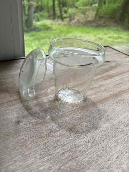 Photo of free Small glass jar w/glass lid (Ossining) #2