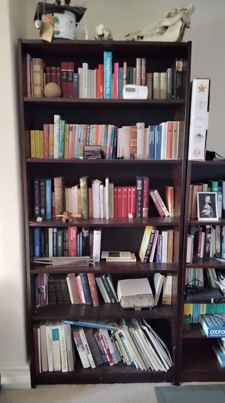 Photo of free Shelves (Holbrook DE56) #1