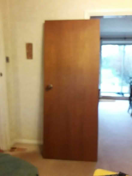 Photo of free Internal door (Orpington) #1