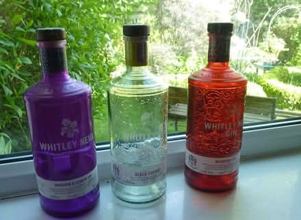 Photo of free Fancy gin bottles (empty) (West Bowling BD5) #1