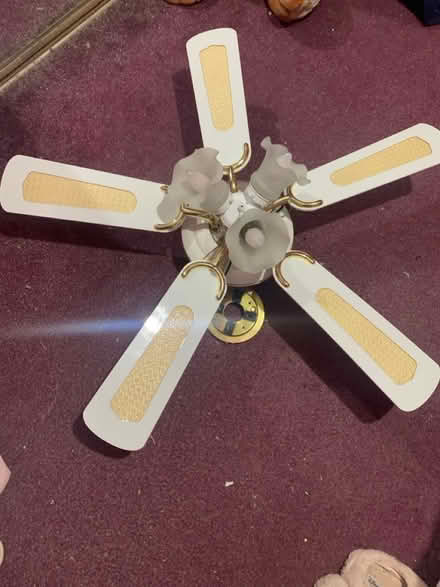 Photo of free Ceiling Fan (Southend on sea SS1) #2