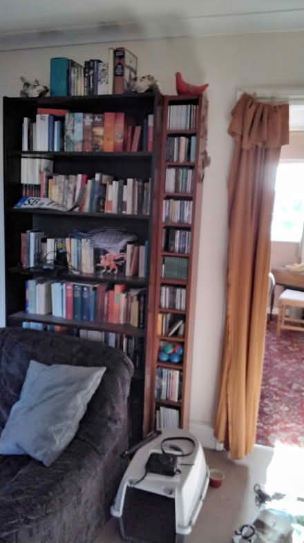 Photo of free CD shelf (Holbrook DE56) #1