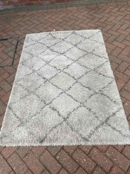 Photo of free Contemporary style rug (Golden Green TN11) #1