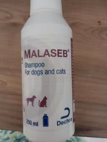 Photo of free Malaseb dog Shampoo (Bathampton) #1