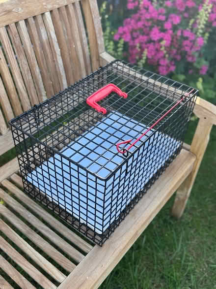 Photo of free Metal cat basket (Rake) #1
