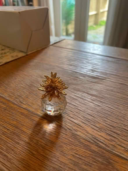 Photo of free Small pineapple (Osney OX2) #2