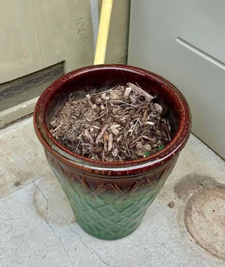 Photo of free Planting pot (Cambrian areA) #2