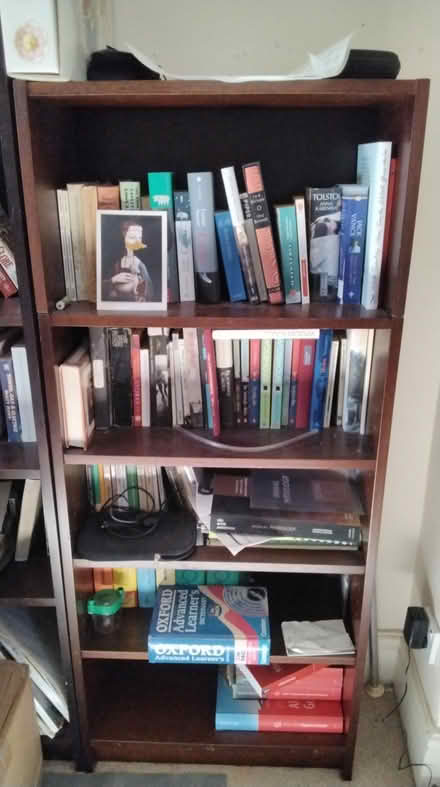 Photo of free Shelves (Holbrook DE56) #2