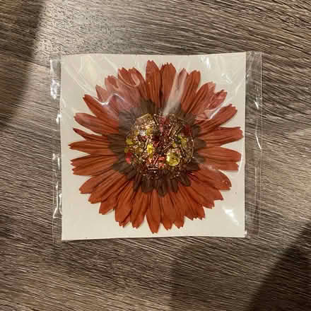 Photo of free Hair Clips (Bethesda, MD) #3