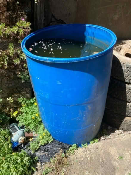 Photo of free Big water container (SW2 - Brixton) #1