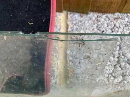 Photo of free Greenhouse glass (Midhurst GU29) #3