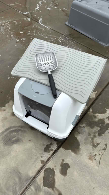 Photo of free Litter box/Mat/Scoop & Small Tree (Allied Gardens) #2