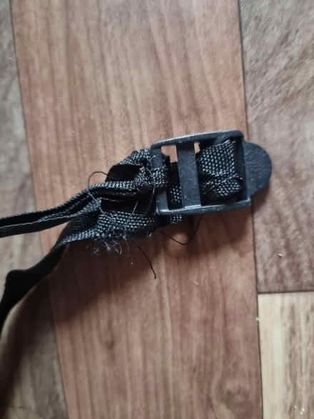 Photo of free Black fold away rucksack (stroud green N4) #2