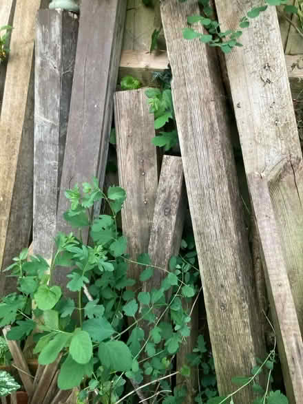 Photo of free Railway-type sleepers (Oxford-Freegle CGA OX3) #1