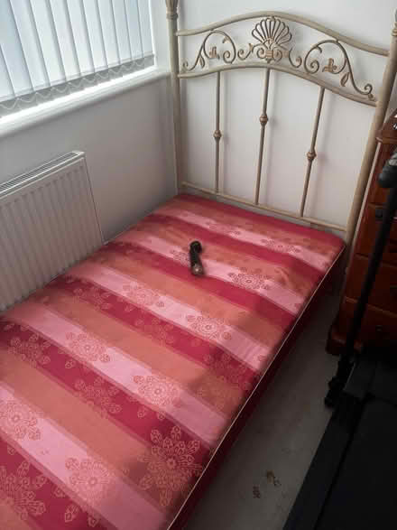 Photo of free A single bed frame with one loose leg (Whitelea NE23) #1
