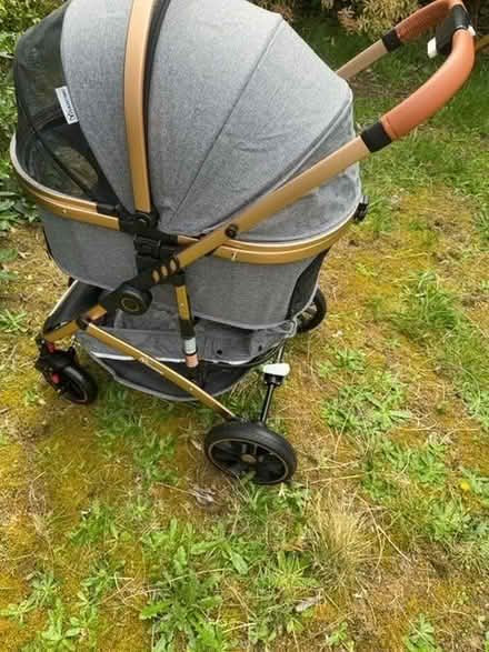 Photo of free Dog or cat stroller (AB24) #1