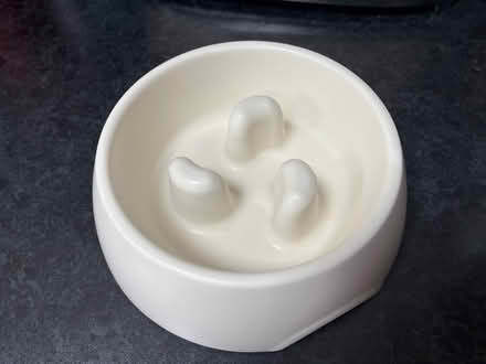 Photo of free Dog bowl (Wigston Magna) #1