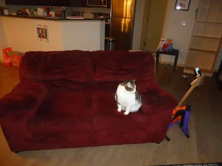 Photo of free Loveseat (Verona) #1
