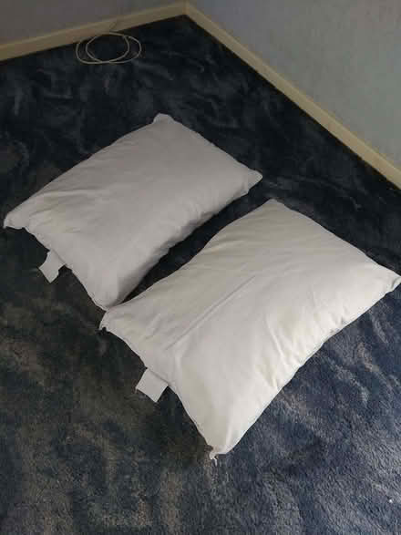 Photo of free 2x Fogarty pillows (Irish Fields LS21) #2