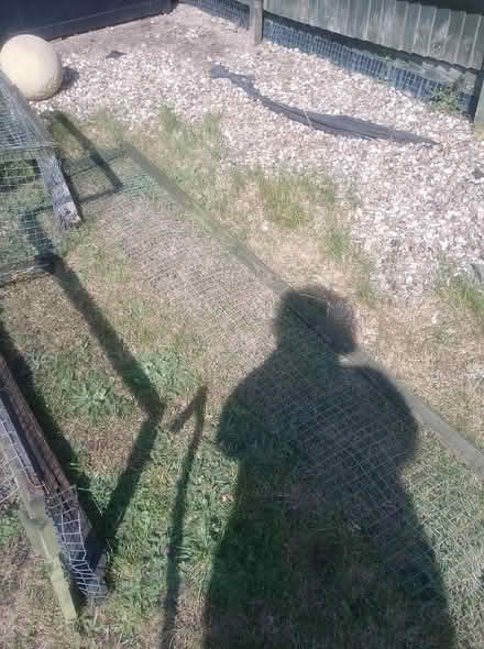 Photo of free Pet Tunnel Galvanised Mesh (Cippenham SL1) #2