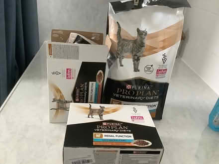 Photo of free Cat bundle (Teignmouth) #2