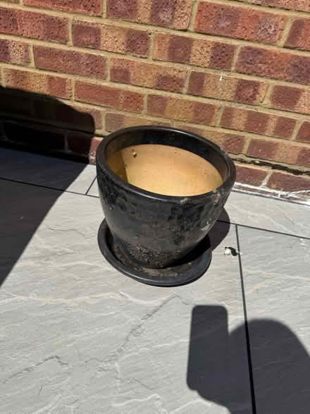 Photo of free Plant pot (Rayne CM77) #1