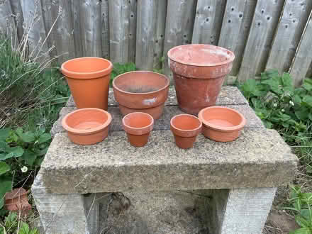 Photo of free Terracotta plant pots and saucers (Walkley S6) #1
