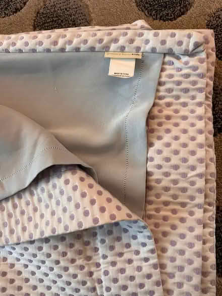 Photo of free Pottery Barn Kids Curtains (Folkway drive. Mississauga) #3