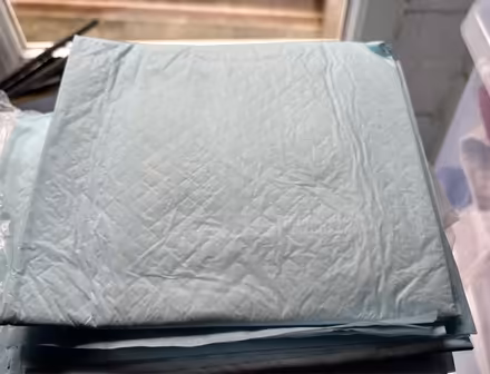 Photo of free Incontinence/puppy training pads (Wigston Magna) #2